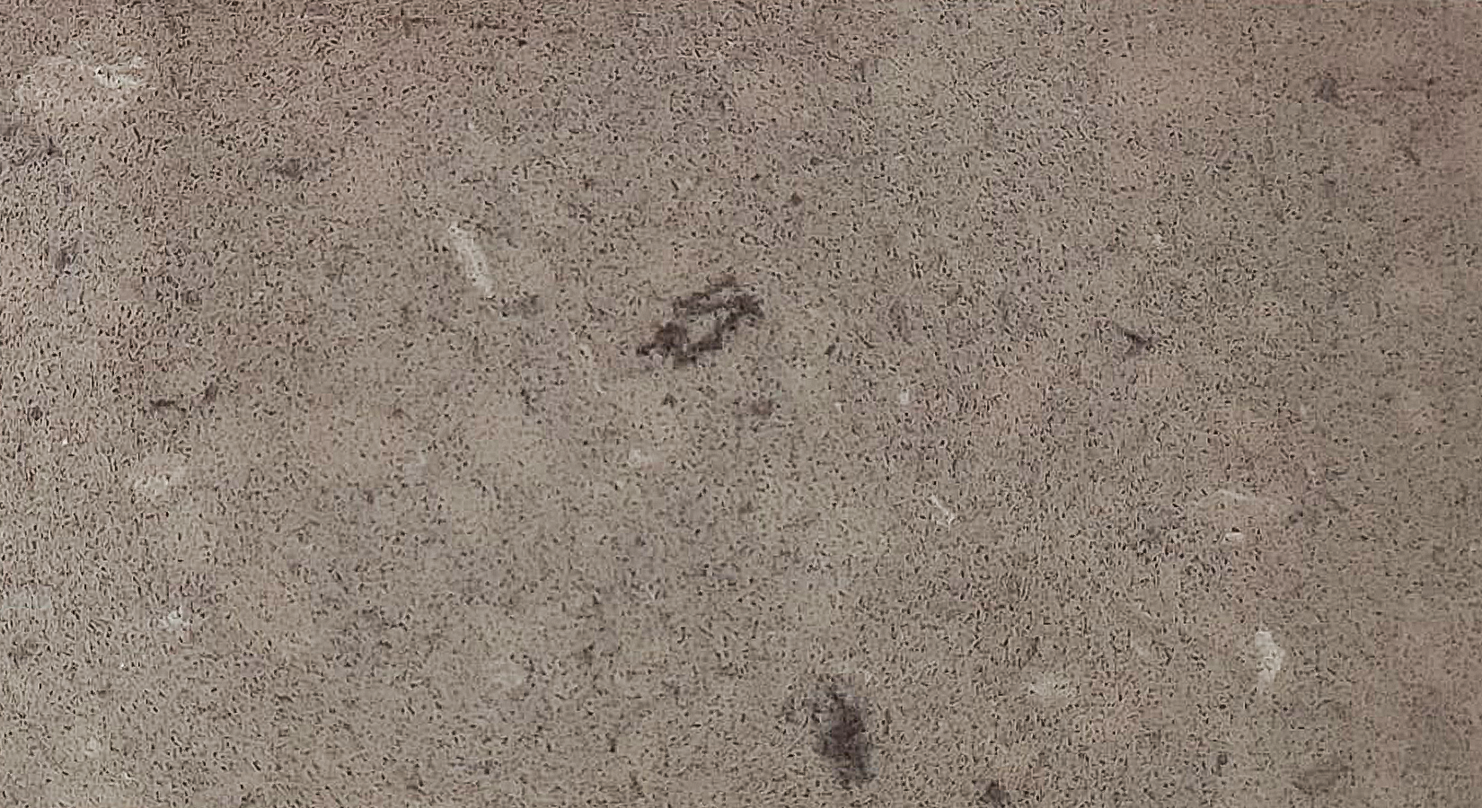 Quartz Countertop Stone